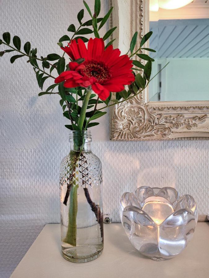 Sunbjerre B&B Store Dalby エクステリア 写真